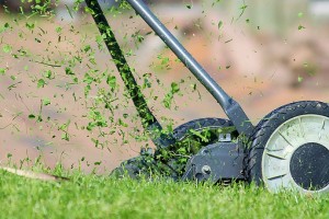 Lawn Maintenance, Grass Mowing